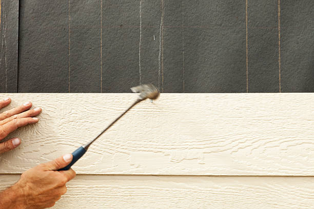 Professional Siding in Hurlburt Field, FL